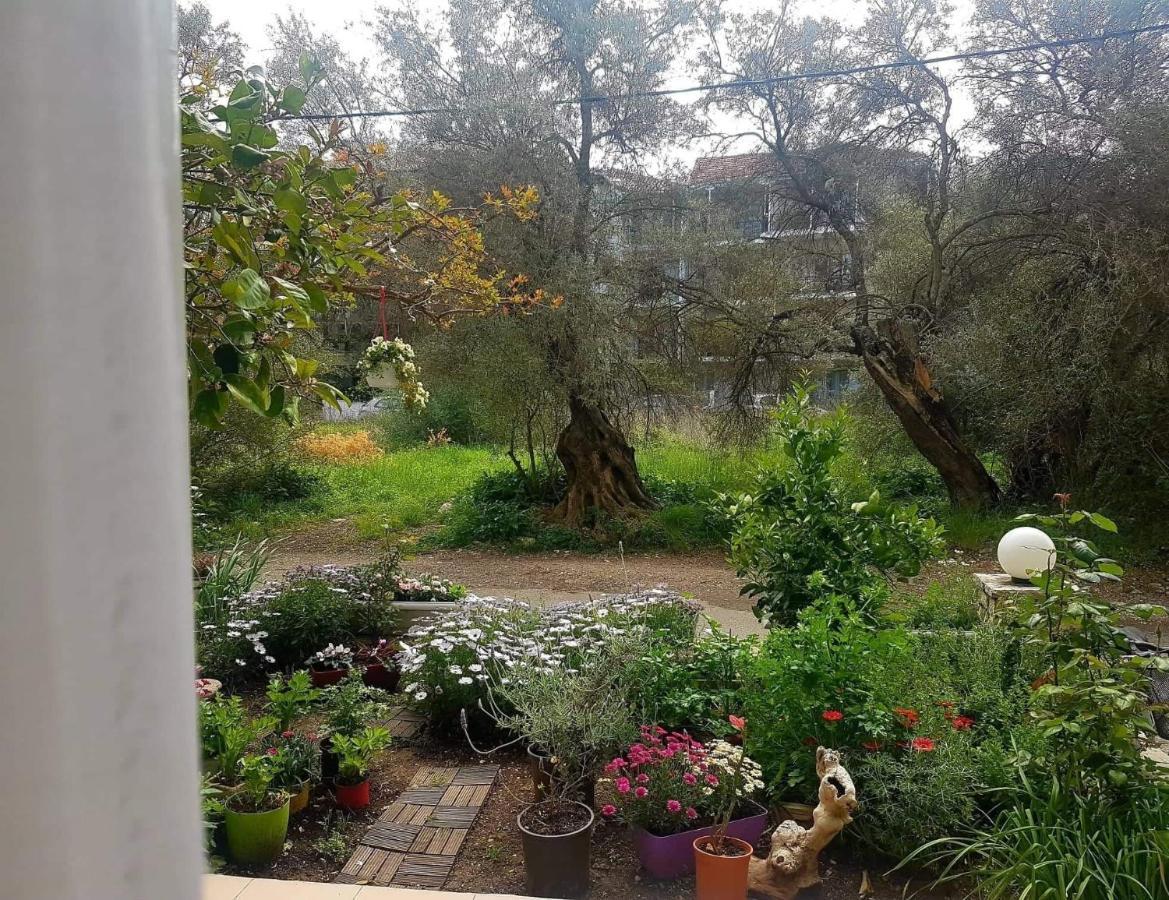 Efi'S Studio Lefkada City Exterior photo