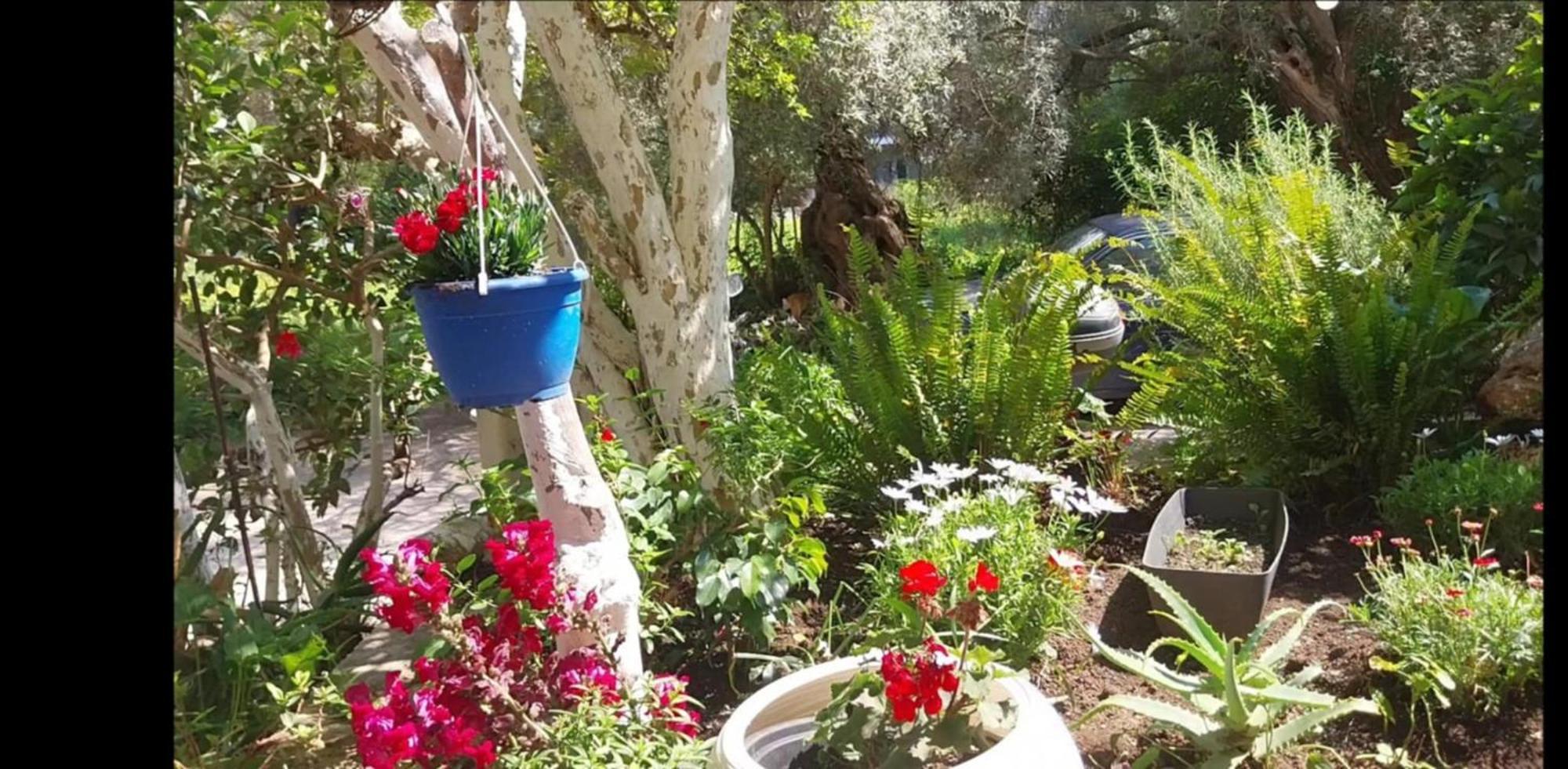 Efi'S Studio Lefkada City Exterior photo