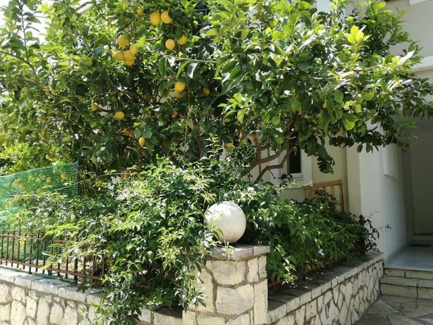 Efi'S Studio Lefkada City Exterior photo